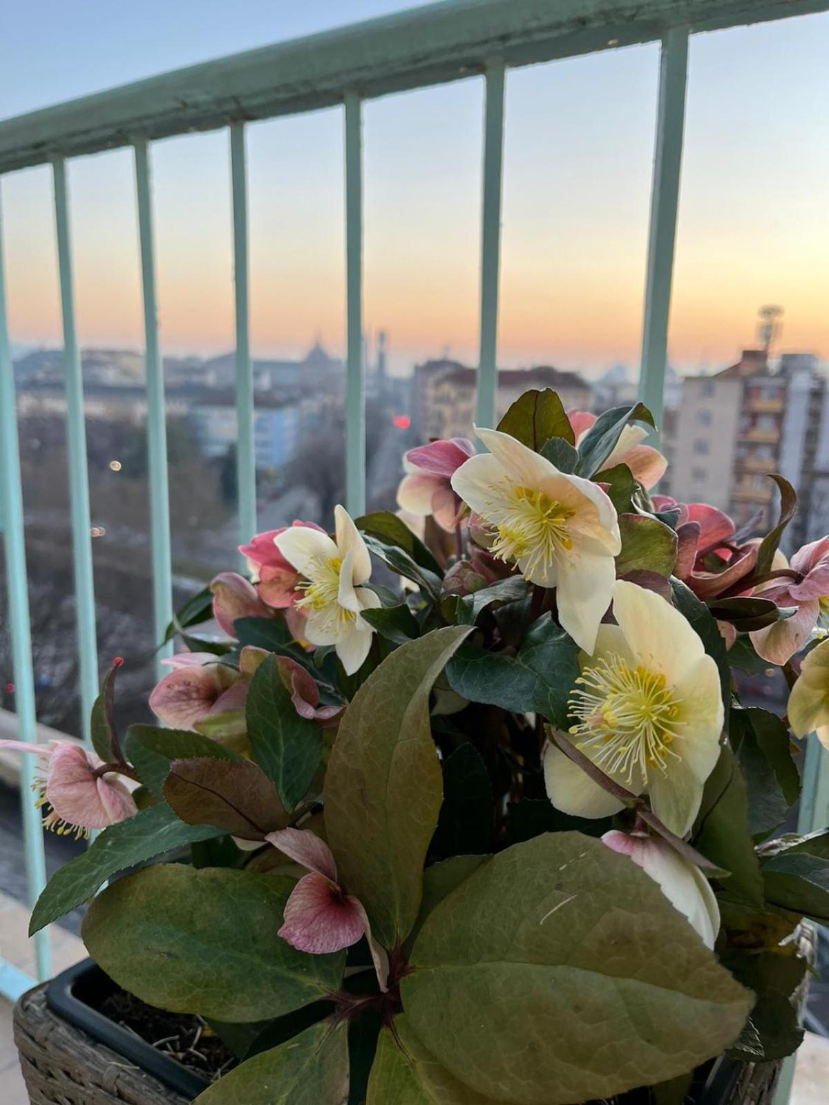 Attico Ellen Terrazza Con Vista Apartman Torino Kültér fotó