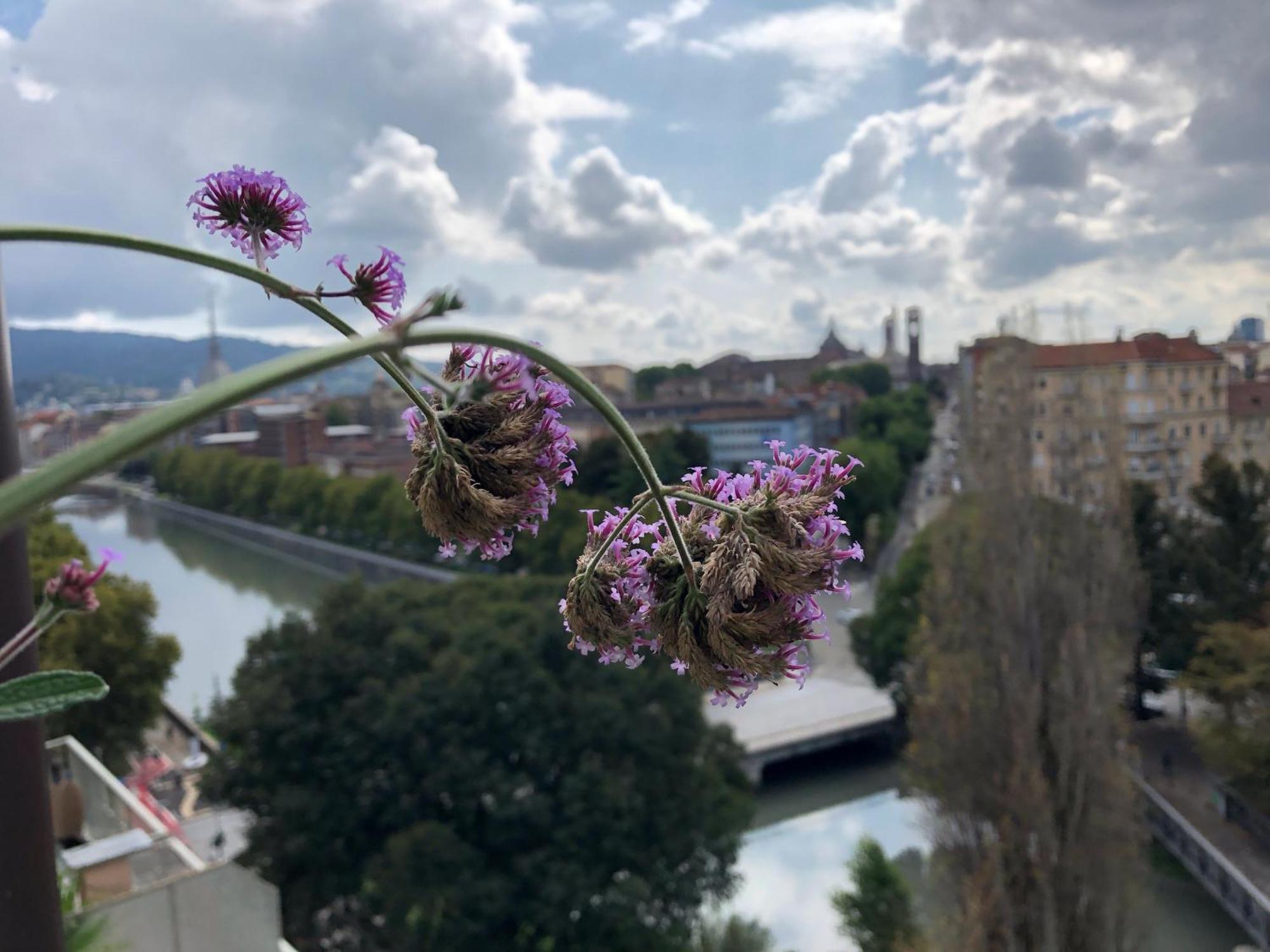 Attico Ellen Terrazza Con Vista Apartman Torino Kültér fotó