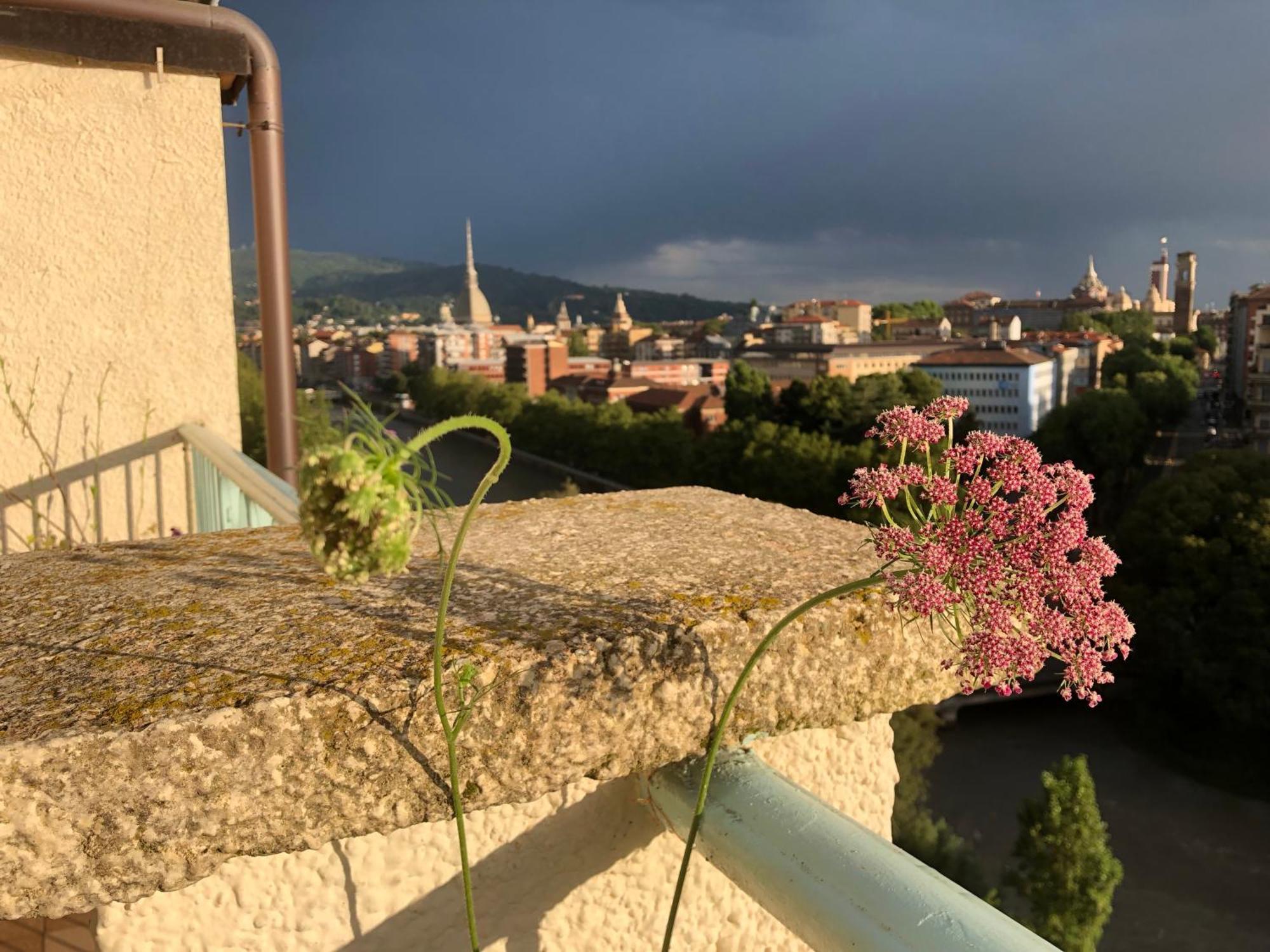 Attico Ellen Terrazza Con Vista Apartman Torino Kültér fotó