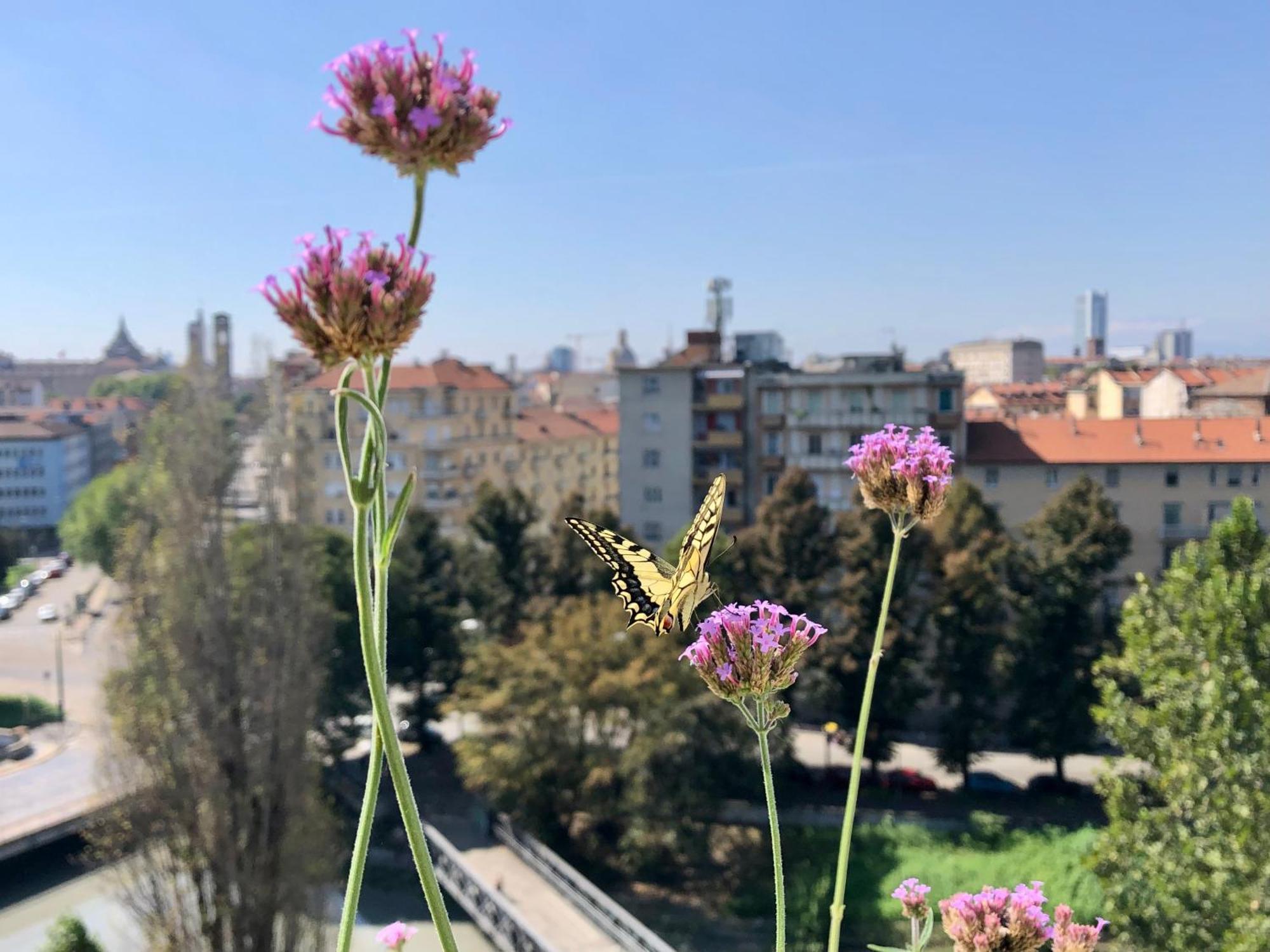 Attico Ellen Terrazza Con Vista Apartman Torino Kültér fotó